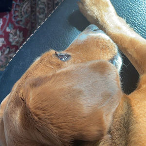 Meet your Posher, Nate